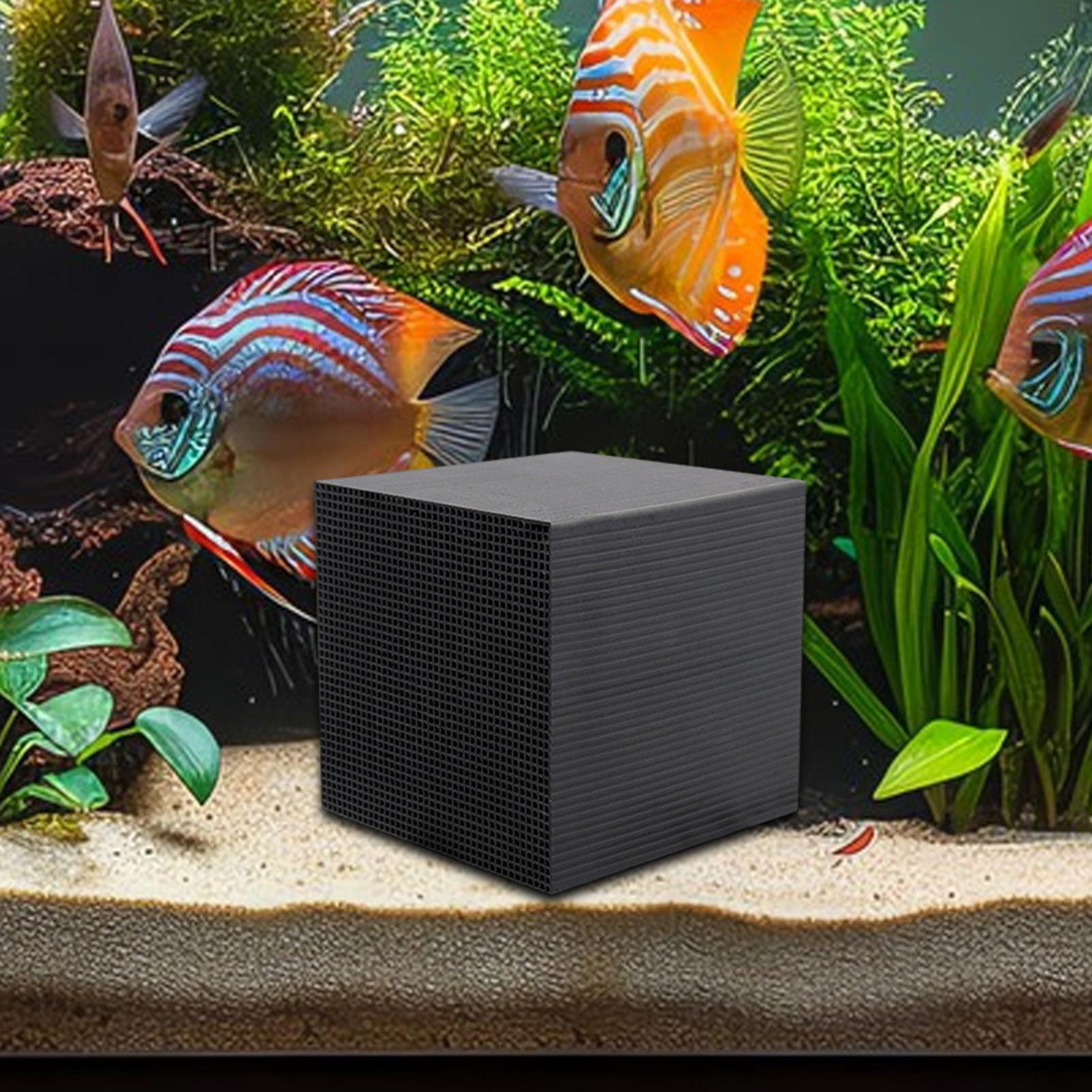 Aquarium Fish Background - 수족관 정수기 큐브 물통 정수기 큐브