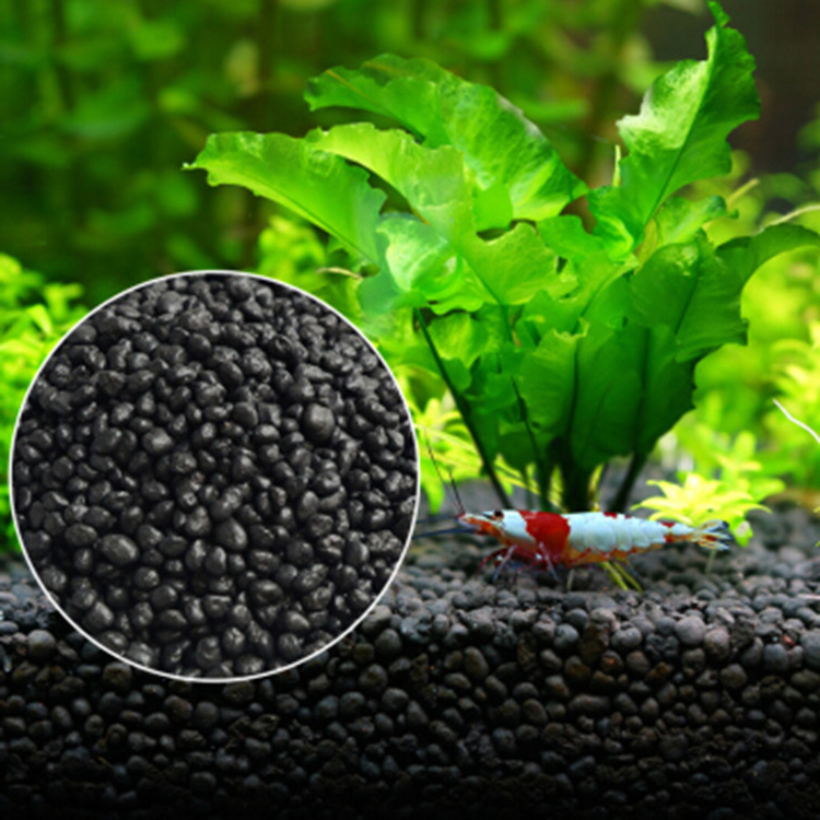 Aquarium Fish Gallery - 수족관 식물 씨앗 토양 어항 기판