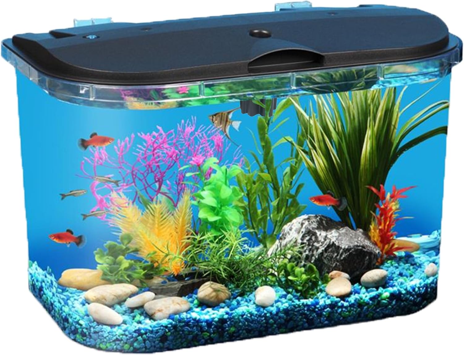 Aquarium Fish Variety - 5갤런 수족관 키트(LED 조명 및 파워