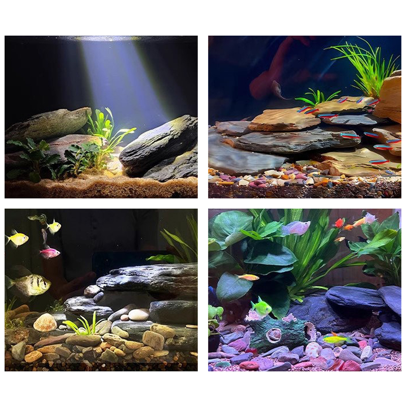 500/1000g 어항 조경석 키트 슬레이트 석재 테라 - Aquarium Fish Gallery 리뷰 및 가격