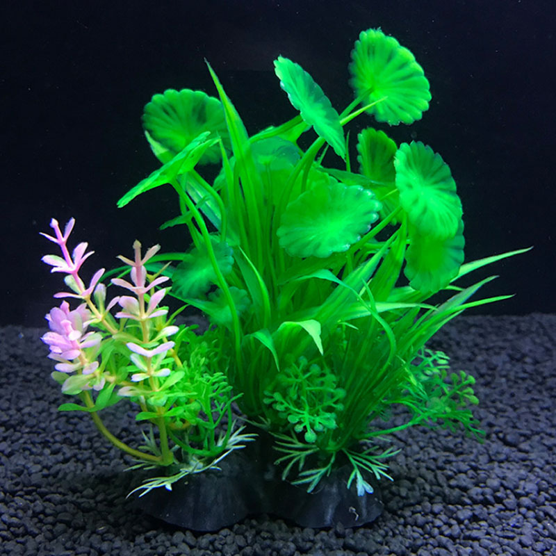 수족관 장식 다양한 시뮬레이션 식물 수생 식물 수생 식 - Aquarium Fish Variety 리뷰 및 가격