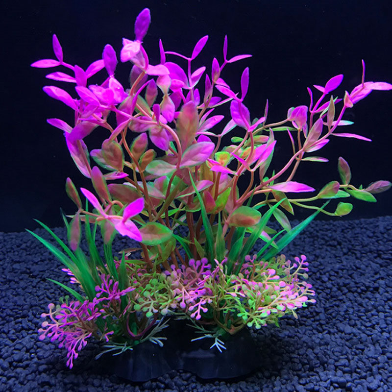 수족관 장식 다양한 시뮬레이션 식물 수생 식물 수생 식 - Aquarium Fish Variety 리뷰 및 가격