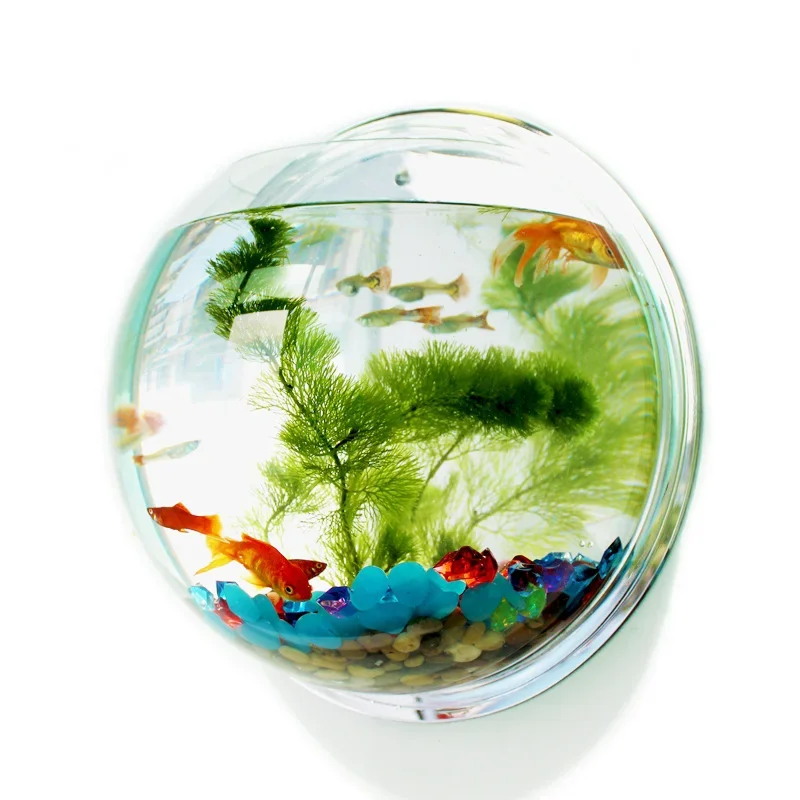 Pinsjar 아크릴 어항 벽걸이 수족관 탱크, 수생  - Aquarium Fish Background 리뷰 및 가격
