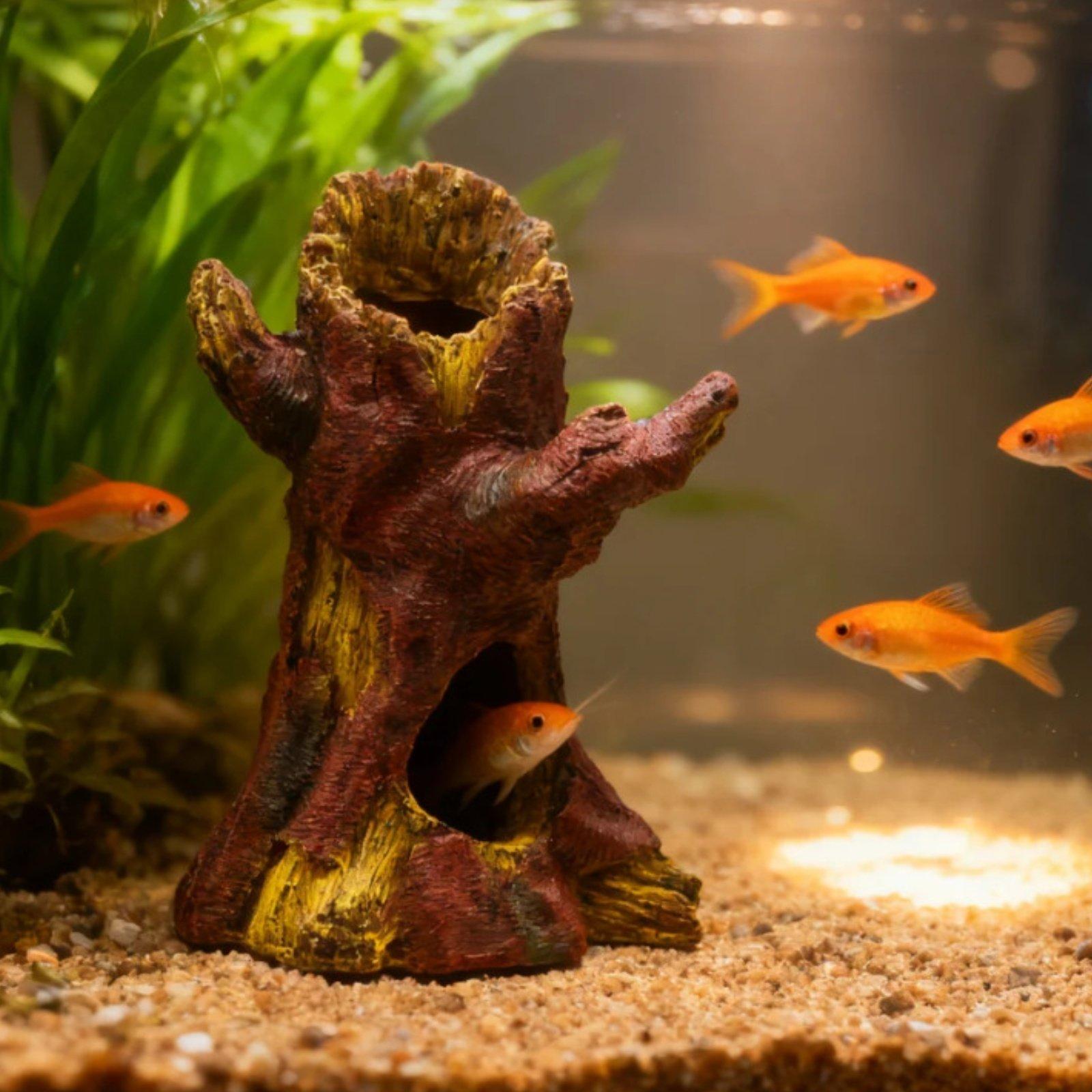 수족관 조경 장식 수족관 데코 레진 나무 줄기 쉼터 ( - Aquarium Fish Usa 리뷰 및 가격