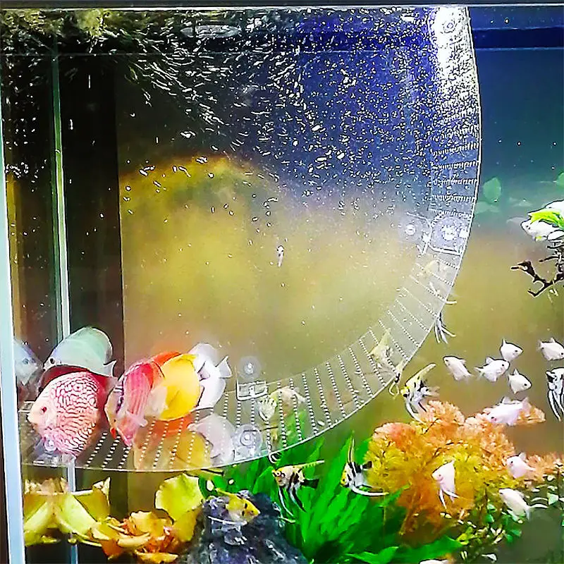 구부릴 수있는 벌크 헤드 피팅 물고기 탱크 격리 플레이 - Aquarium Fish Background 리뷰 및 가격