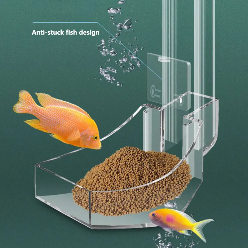 수족관 아크릴 먹이 튜브, 붙지 않는 물고기 디자인,  - Aquarium Fish Variety 리뷰 및 가격