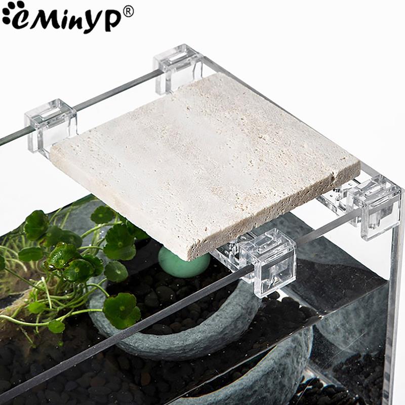 5.5mm ~ 15mm 벽 두께에 대 한 4Pcs 물고 - Aquarium Fish Items 리뷰 및 가격