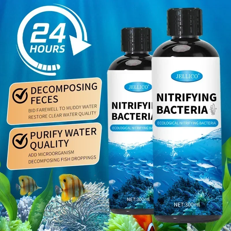 300ml 니트라이징 박테리아 액체 물고기 탱크 정수기 - Aquarium Fish Items 리뷰 및 가격