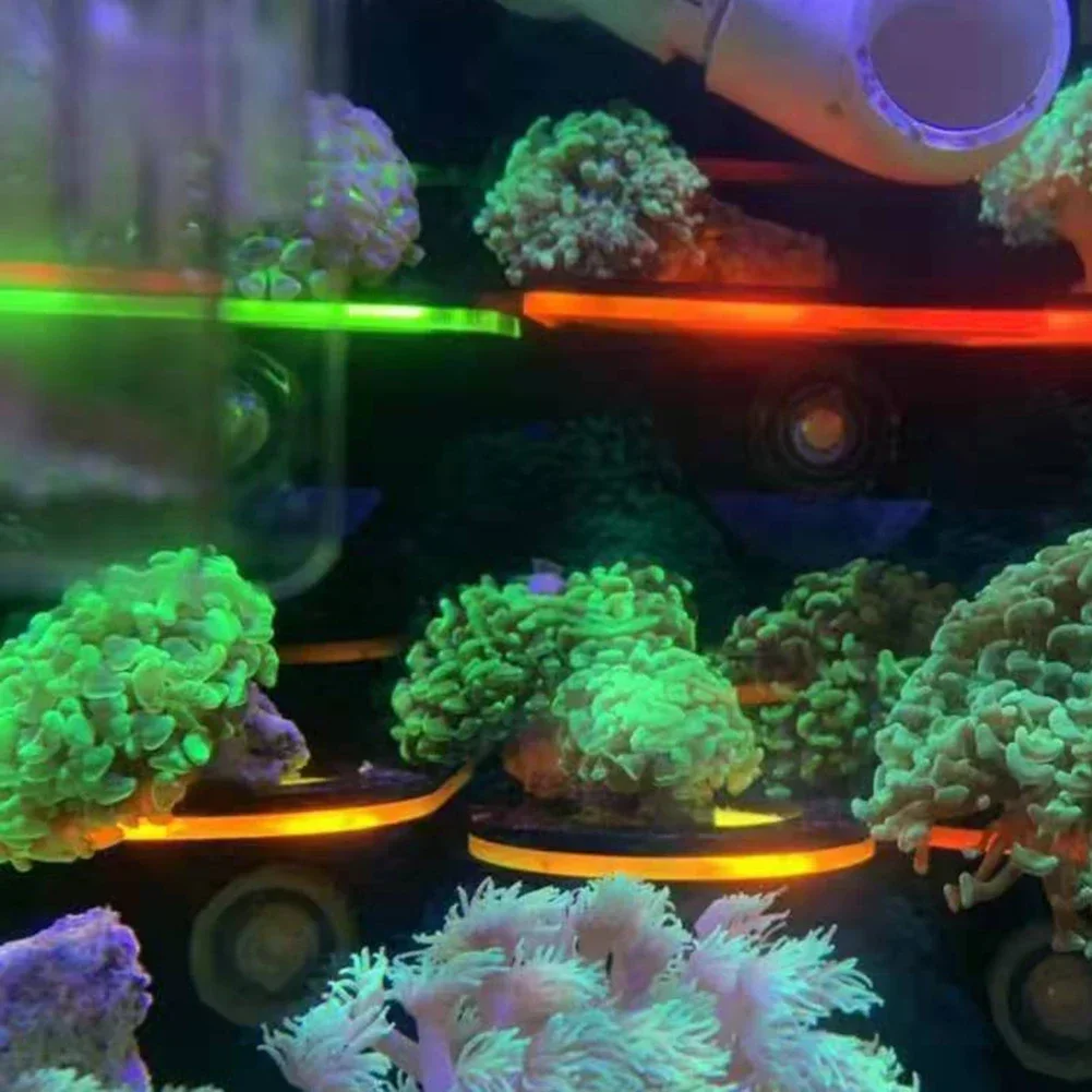 물고기 탱크 아크릴 형광 산호 브래킷 홀더 SPS 브래 - Aquarium Fish Marine 리뷰 및 가격