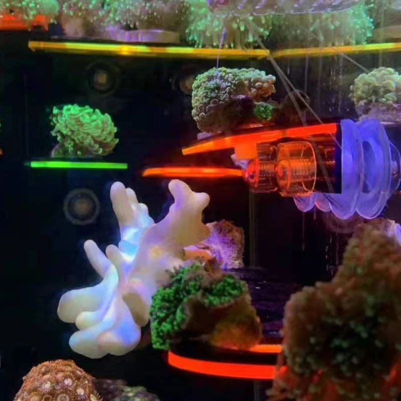 물고기 탱크 아크릴 형광 산호 브래킷 홀더 SPS 브래 - Aquarium Fish Marine 리뷰 및 가격