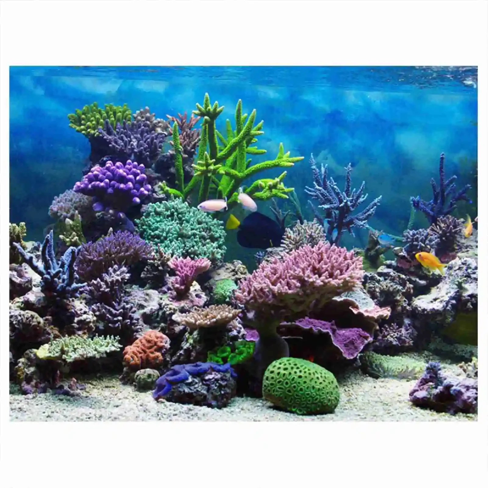 3D 수족관 풍경 포스터 벽지, 열대우림 어항 배경 장 - Aquarium Fish Background 리뷰 및 가격