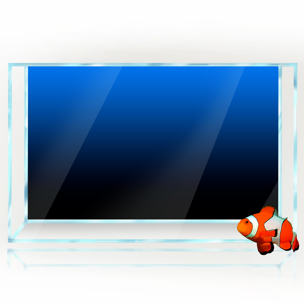 물고기 탱크 배경 스티커 검정 녹색 파란색 그라디언트  - Aquarium Fish Background 리뷰 및 가격