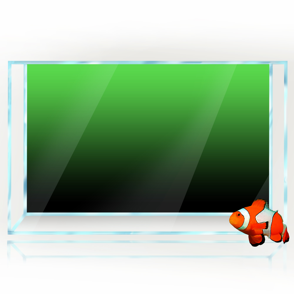 물고기 탱크 배경 스티커 검정 녹색 파란색 그라디언트  - Aquarium Fish Background 리뷰 및 가격