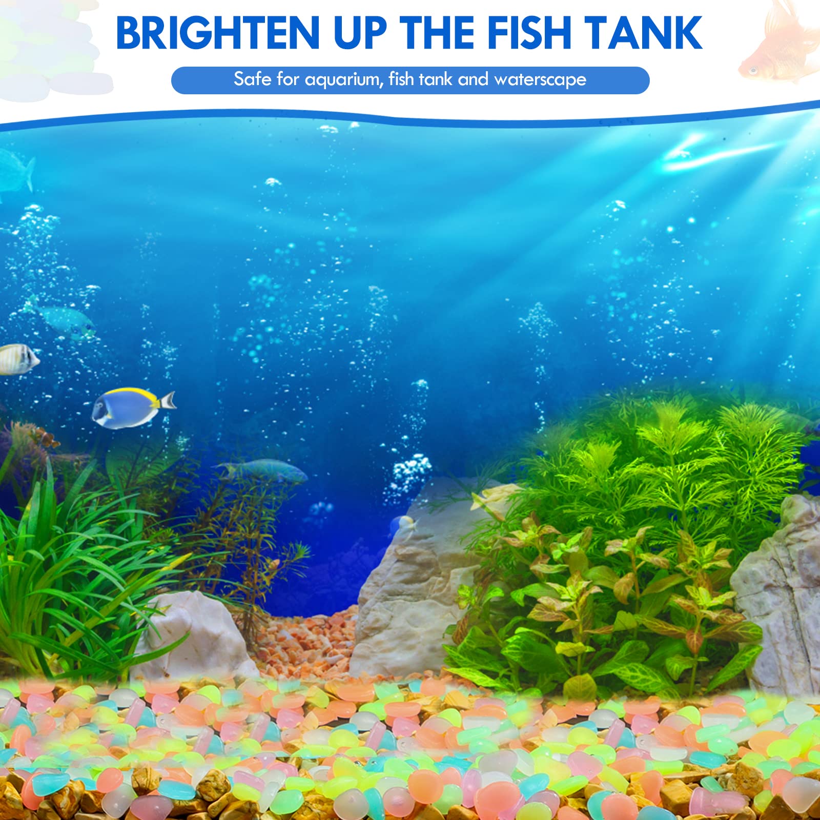 100Pcs 보도 정원 테라스 잔디 정원 파티오 물고기 - Aquarium Fish Gallery 리뷰 및 가격