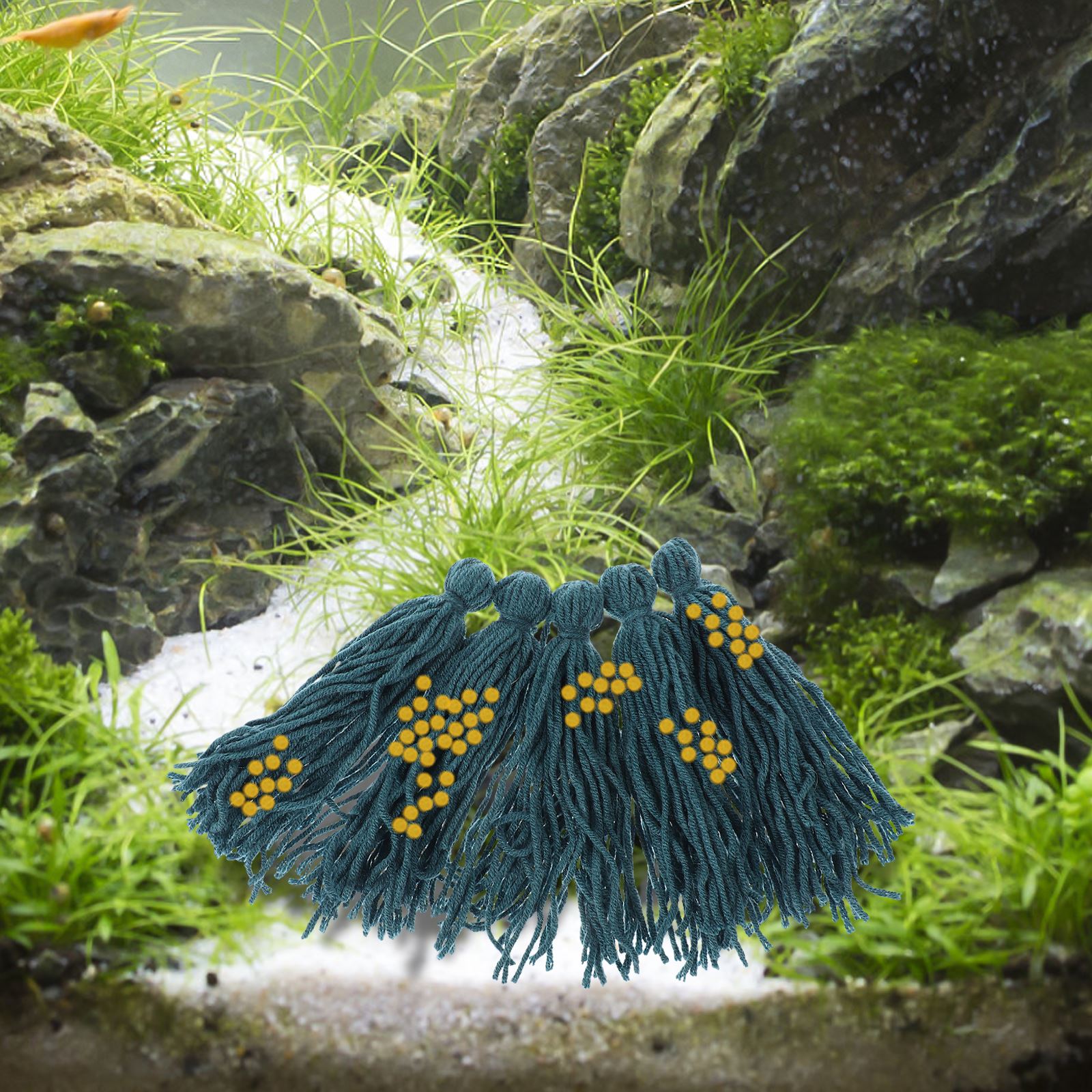 부화장, 물고기 수족관 양동이 장식 원사, 수족관 은신 - Aquarium Fish Background 리뷰 및 가격