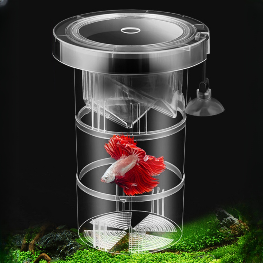 아크릴 플로팅 어류 번식 격리 상자 수족관 번식기 먹이 - Aquarium Fish Marine 리뷰 및 가격