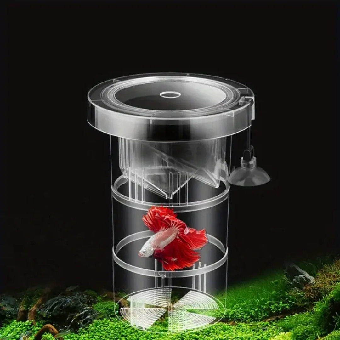 아크릴 플로팅 어류 번식 격리 상자 수족관 번식기 먹이 - Aquarium Fish Marine 리뷰 및 가격