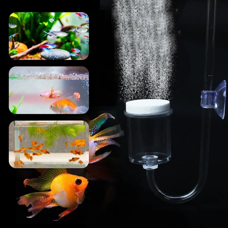 수족관 유리 탱크용 DIY CO2 디퓨저, 버블 반응기 - Aquarium Fish Items 리뷰 및 가격