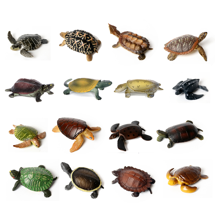 현실적인 미니어처 해양 생물 바다 거북이 모델, 해양  - Aquarium Fish Marine 리뷰 및 가격